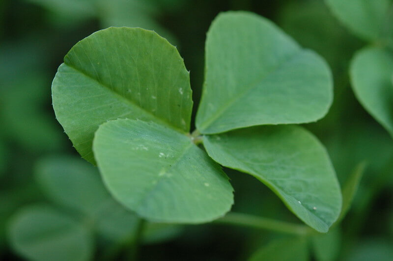 Get A Green Light With Enhanced Application Security