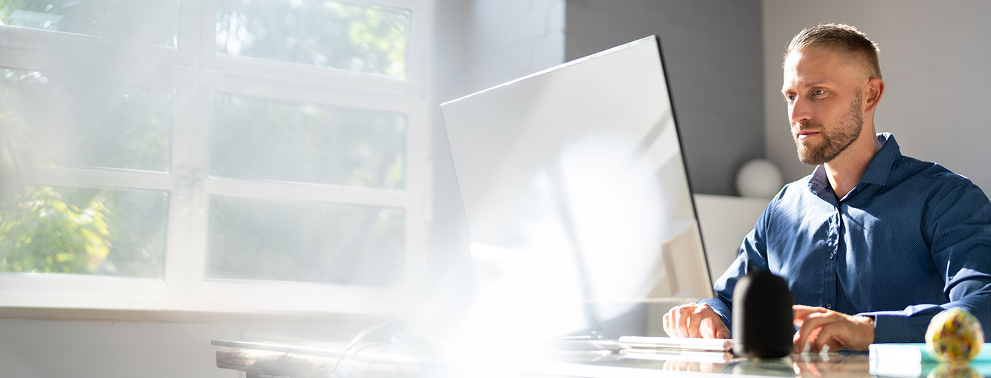 Z and I Emulator-Professional Services