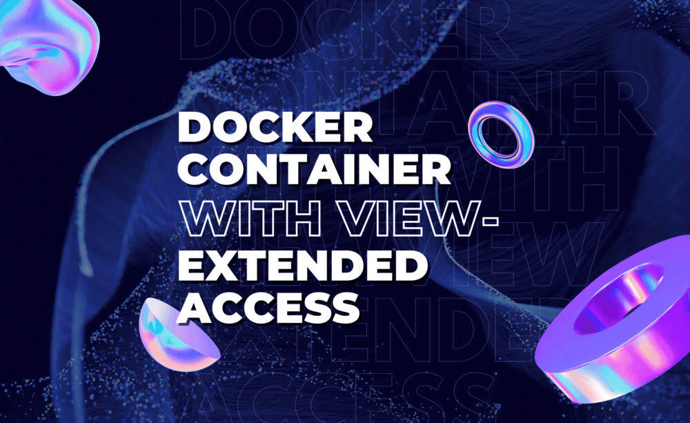 Docker Container With VersionVault View-Extended Access