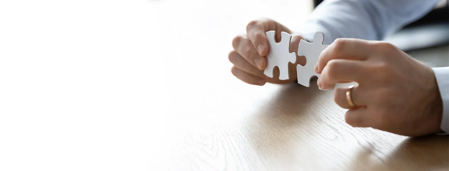 Global System Integrators