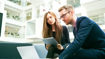 Artefact Locking in the HCL Link Design Server