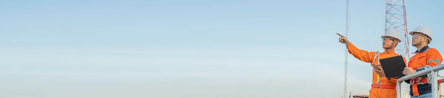 HCL Domino Success Story Scaling it Request Automation