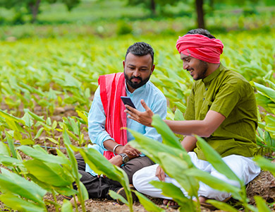 Make in India-Agriculture