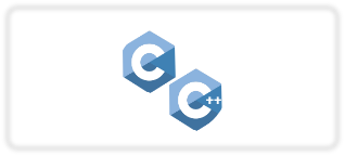 C C++