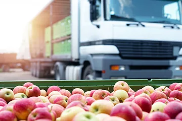 Cybersecurity-HCL BigFix Secures Extensive IT Infrastructure and Provides Peace of Mind for Reynolds