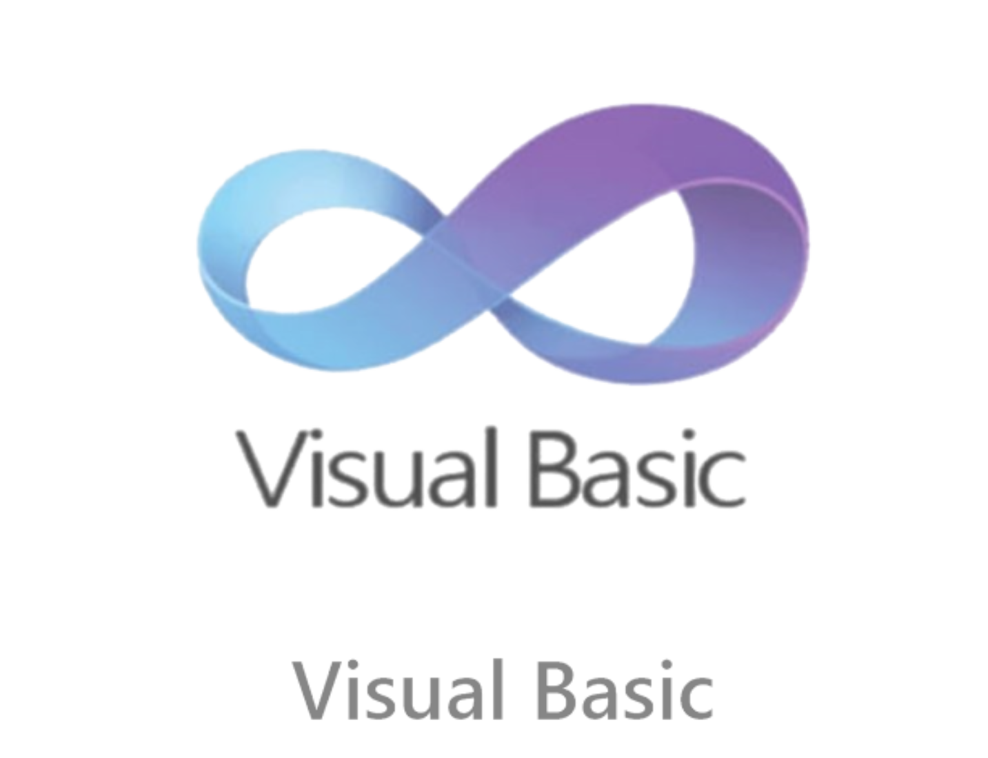 Visual Basic