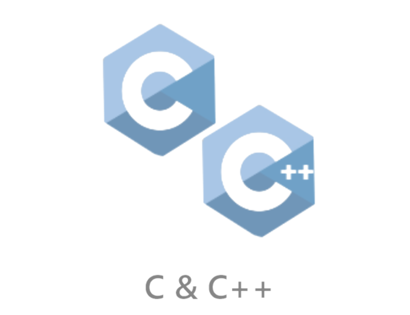 C & C++