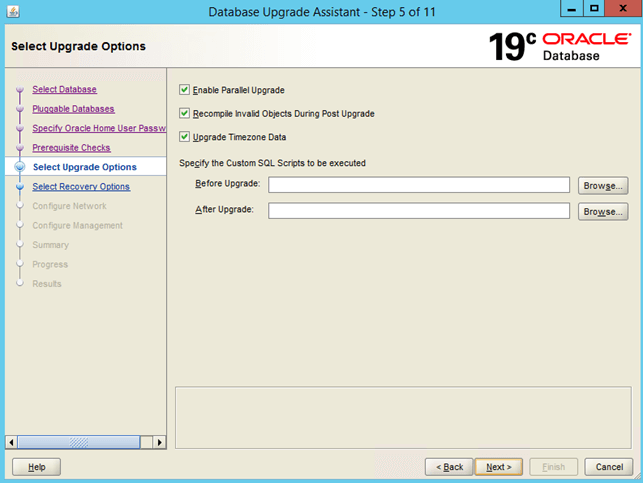 enforce the database instance of Workload Automation