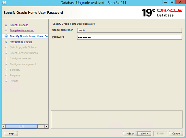 enforce the database instance of Workload Automation