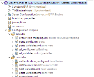 Liberty server config files
