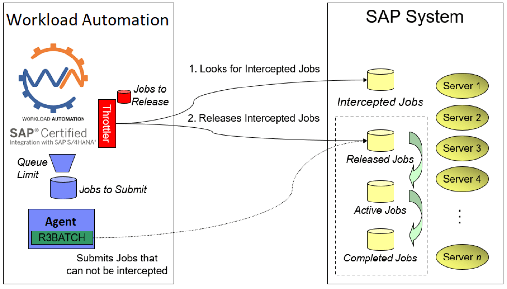sap system