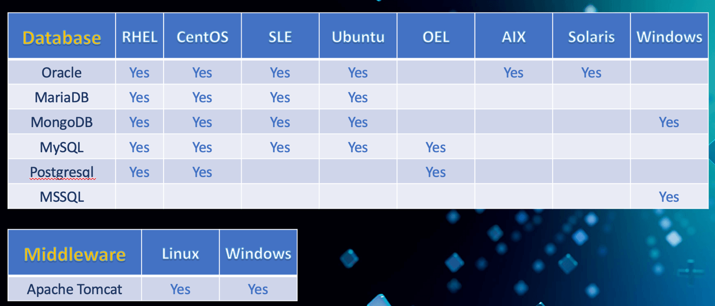 Databases and Middleware of Bigfix support