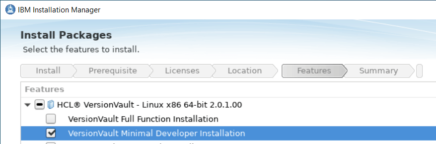 Docker Container With VersionVault