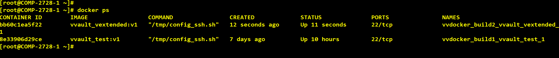Docker Container With VersionVault