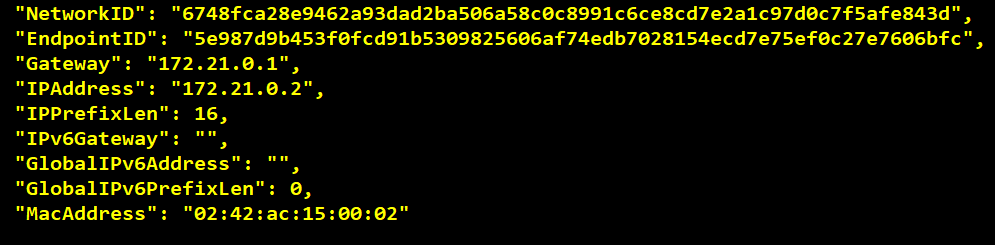 Docker Container With VersionVault