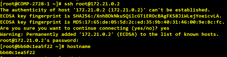 Docker Container With VersionVault