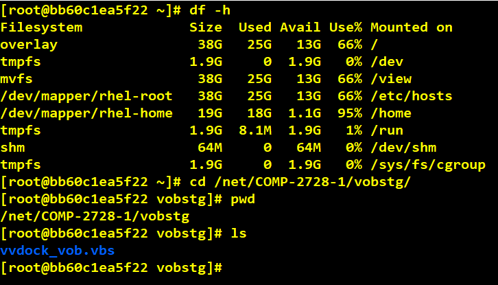 Docker Container With VersionVault
