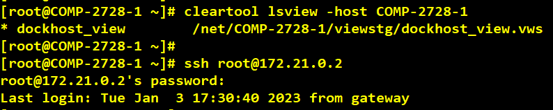 Docker Container With VersionVault