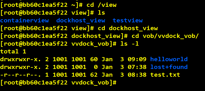 Docker Container With VersionVault