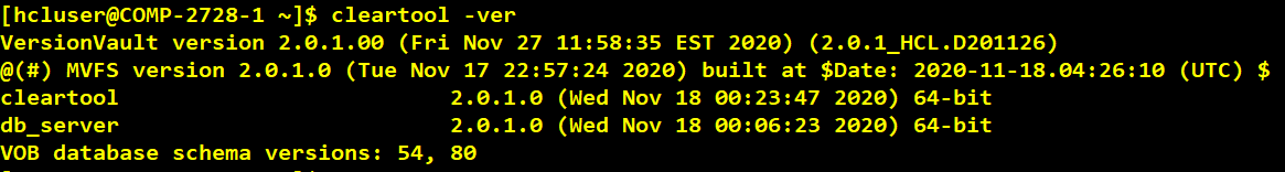Docker Container With VersionVault
