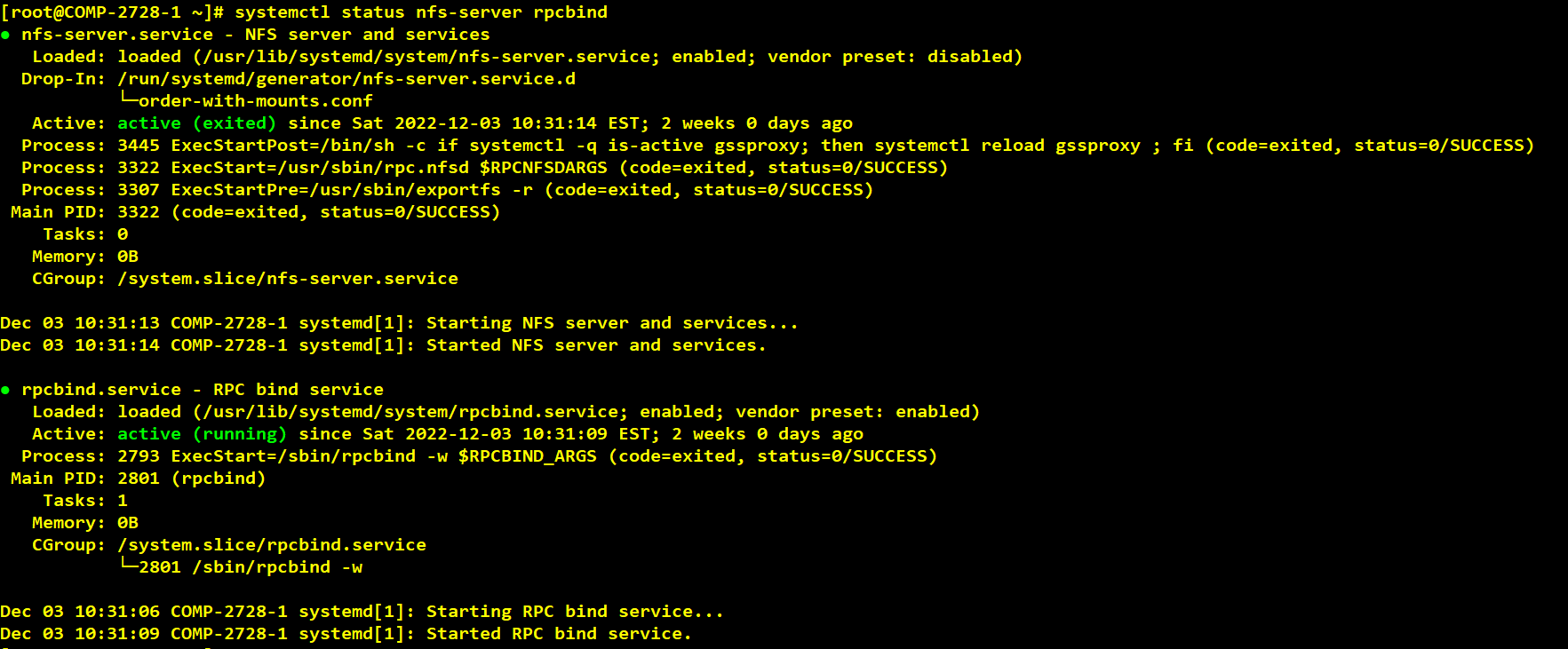 Docker Container With VersionVault