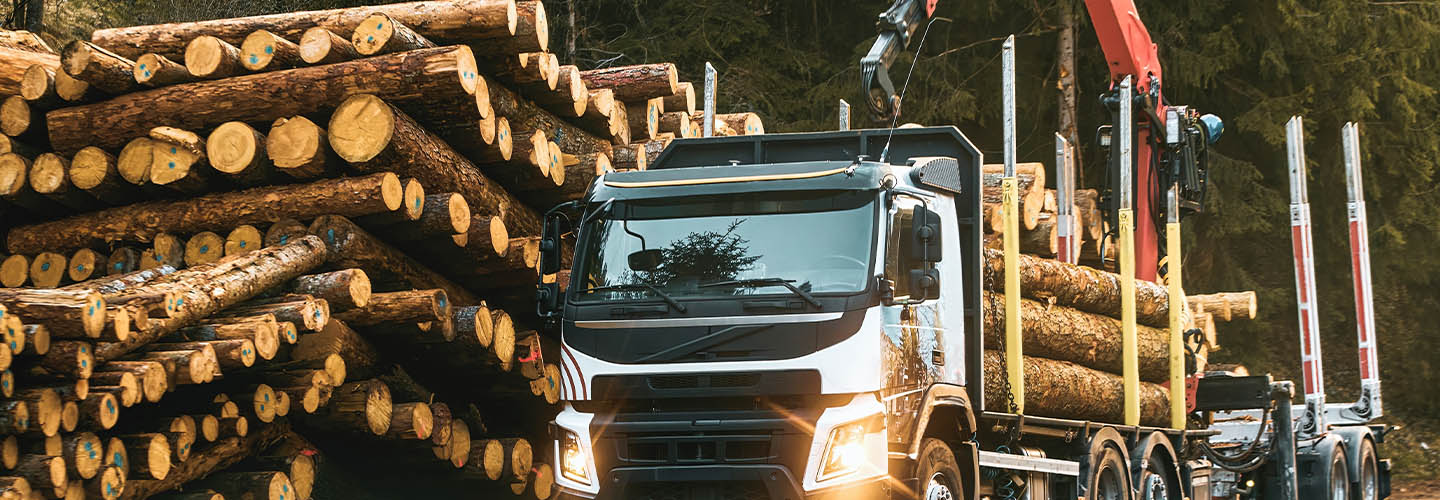 Enables Automated Server Provisioning