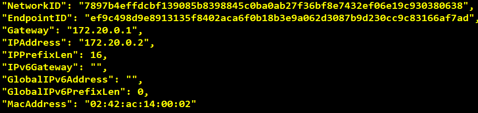 Docker Container With VersionVault Dynamic View Client Access