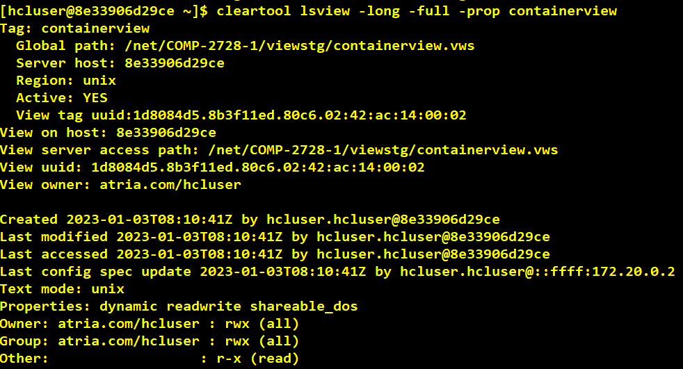 Docker Container With VersionVault Dynamic View Client Access