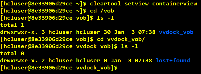 Docker Container With VersionVault Dynamic View Client Access