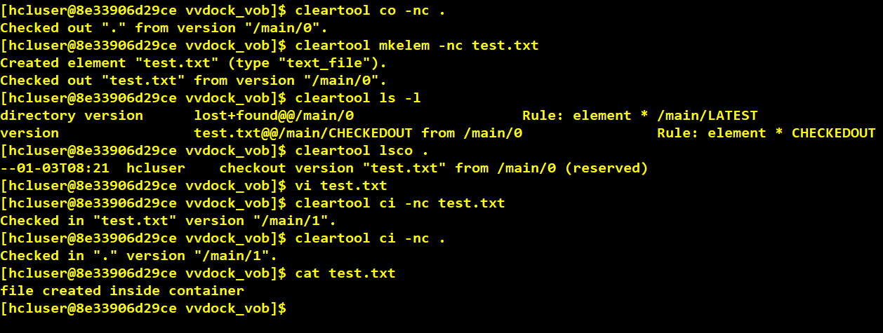Docker Container With VersionVault Dynamic View Client Access