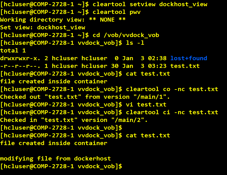 Docker Container With VersionVault Dynamic View Client Access