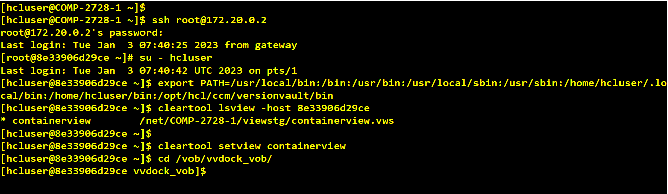 Docker Container With VersionVault Dynamic View Client Access