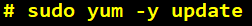 Docker Container With VersionVault Dynamic View Client Access