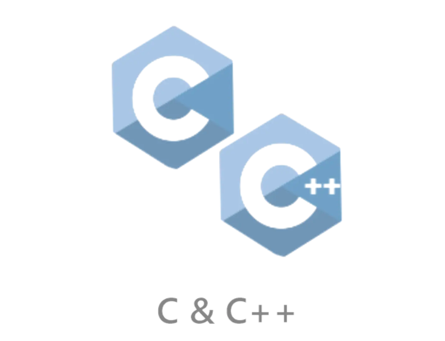 C & C++