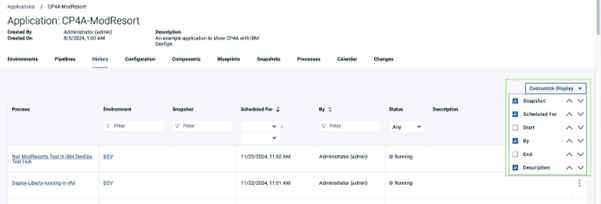 Customizable Application History View